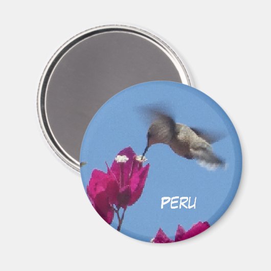 Hummingbird von Peru Magnet (Vorderseite/Rückseite)