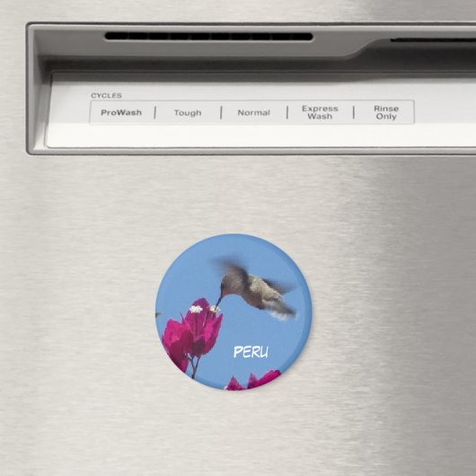 Hummingbird von Peru Magnet (In Situ (Geschirrspüler))