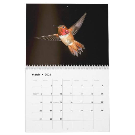 Hummingbird Wall Calendar Kalender (Mär 2026)