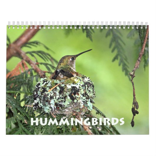 Hummingbird Wall Calendar Kalender (Titelbild)