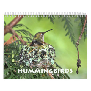 Hummingbird Wall Calendar Kalender