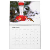 Hummingbird Wall Calendar Kalender (Jan 2027)