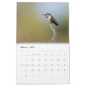 Hummingbird Wall Calendar Kalender (Feb 2027)