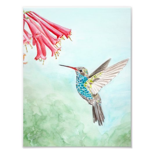 Hummingbird Wasserfarbe Fotodruck (Vorne)