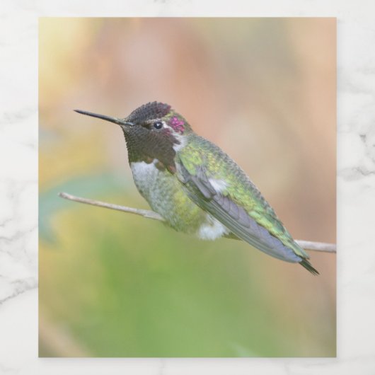 Hummingbird-Weinetikett Weinetikett (Einzelnes Label)