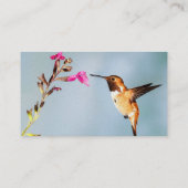 Hummingbird Wild in Nature Visitenkarte (Rückseite)