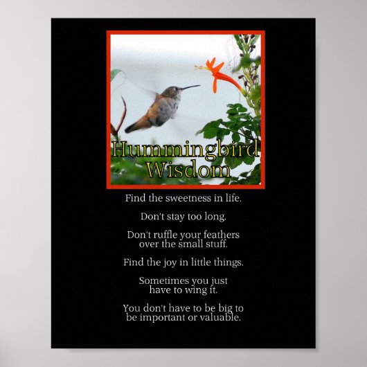 Hummingbird Wisdom Poster (Vorne)