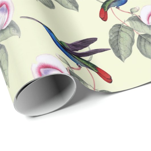 Hummingbird Wrapping Paper Geschenkpapier (Rolleneckpunkt)
