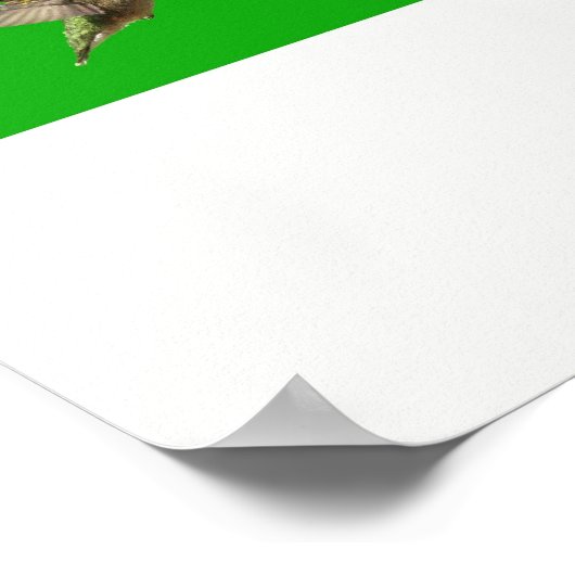 Hummingbird x16 (Titled) Poster (Ecke)