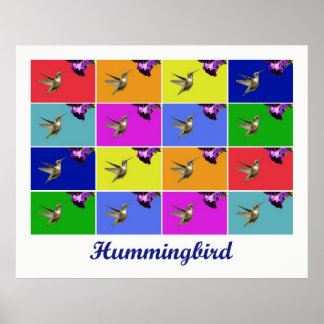 Hummingbird x16 (Titled) Poster