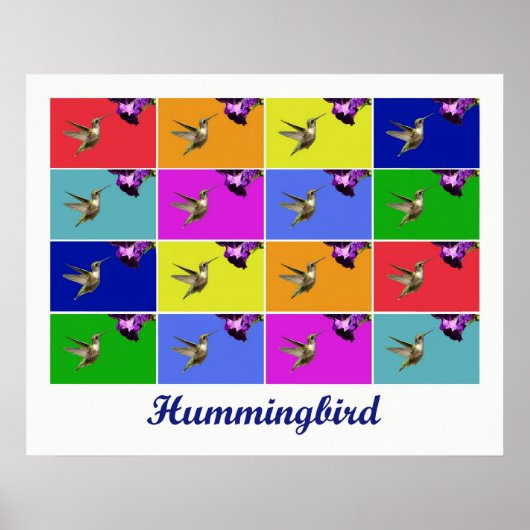 Hummingbird x16 (Titled) Poster (Vorne)
