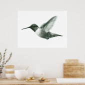Hummingbird Zeichnend Poster (Küche)