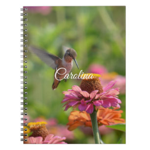 Hummingbird Zinnia Blume Notizblock