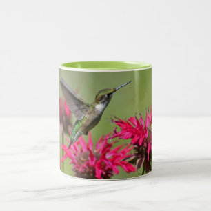 Hummingbird Zwei-Tone-Tasse Zweifarbige Tasse