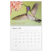 Hummingbirds 2020 Schöner Foto Kalender (Feb 2027)