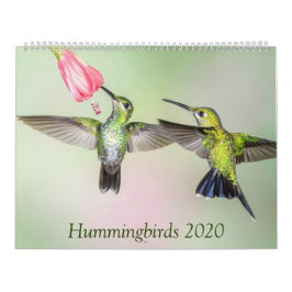 Hummingbirds 2020 Schöner Foto Kalender