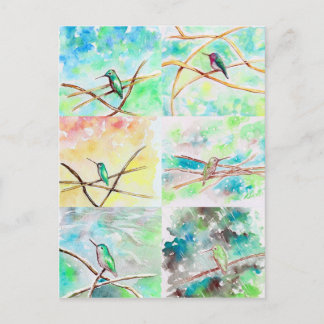 Hummingbirds Aquarellbilder Postkarte