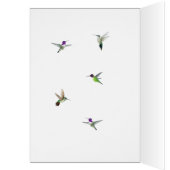 Hummingbirds Birthday Card (Innen (Links))