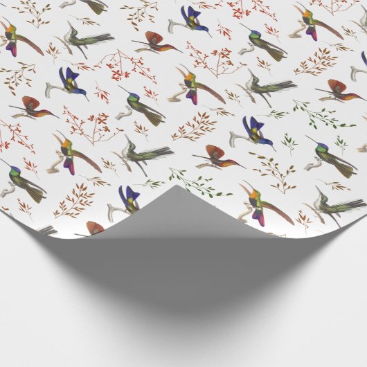 Hummingbirds Blumenfarbener Vogelbeobachter Geschenkpapier (Ecke)