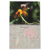 Hummingbirds & Butterflies 2019 2020 Kalender (Feb 2027)