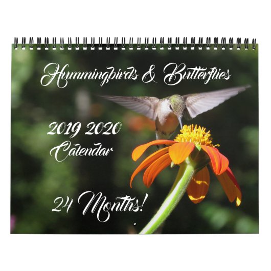 Hummingbirds & Butterflies 2019 2020 Kalender (Titelbild)