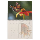 Hummingbirds & Butterflies 2019 2020 Kalender (Jan 2026)