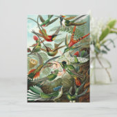 Hummingbirds by Ernst Haeckel, Vintage Vogelbäume Einladung (Stehend Vorderseite)