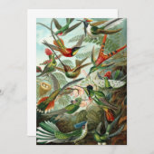 Hummingbirds by Ernst Haeckel, Vintage Vogelbäume Einladung (Vorne/Hinten)