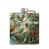 Hummingbirds by Ernst Haeckel, Vintage Vogelbäume Flachmann (Rückseite)