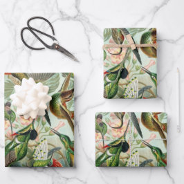 Hummingbirds by Ernst Haeckel, Vintage Vogelbäume Geschenkpapier Set