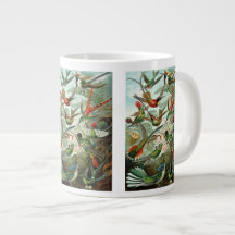 Hummingbirds by Ernst Haeckel, Vintage Vogelbäume