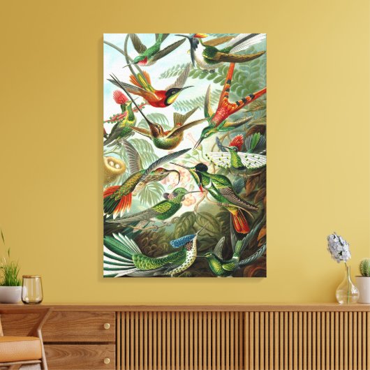 Hummingbirds by Ernst Haeckel, Vintage Vogelbäume Leinwanddruck (Insitu (Wohnzimmer))
