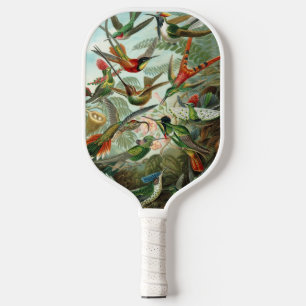 Hummingbirds by Ernst Haeckel, Vintage Vogelbäume Pickleball Schläger