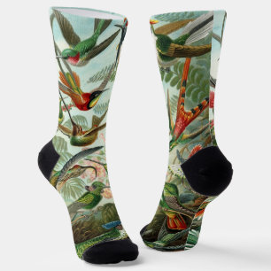 Hummingbirds by Ernst Haeckel, Vintage Vogelbäume Socken