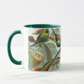 Hummingbirds by Ernst Haeckel, Vintage Vogelbäume Tasse (Links)