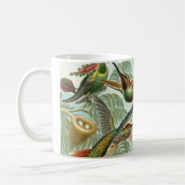 Hummingbirds by Ernst Haeckel, Vintage Vogelbäume Tasse