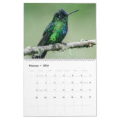 Hummingbirds Calendar Kalender (Feb 2026)