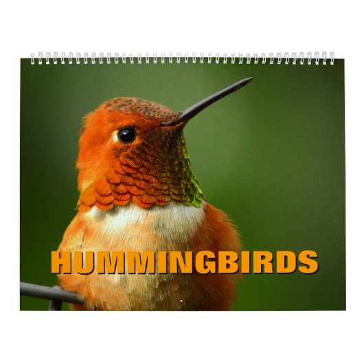 Hummingbirds Calendar Kalender (Titelbild)