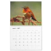 Hummingbirds Calendar Kalender (Mär 2027)