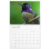 Hummingbirds Calendar Kalender (Jan 2027)