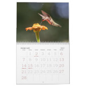 Hummingbirds Calendar Kalender (Feb 2027)