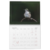 Hummingbirds Calendar Kalender (Jan 2027)