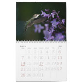 Hummingbirds Calendar Kalender (Mär 2027)