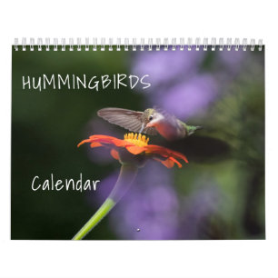 Hummingbirds Calendar Kalender
