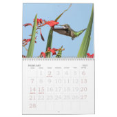 Hummingbirds Calendar Kalender (Feb 2027)