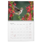 Hummingbirds Calendar Kalender (Jan 2027)
