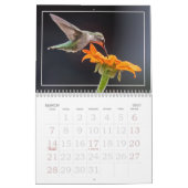 Hummingbirds Calendar Kalender (Mär 2027)