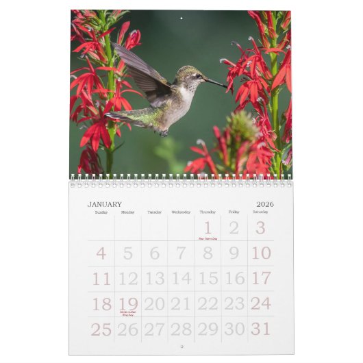 Hummingbirds Calendar Kalender (Jan 2026)