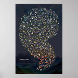 Hummingbirds - Dunkel Poster