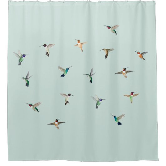 Hummingbirds Duschvorhang (Vorderseite)
